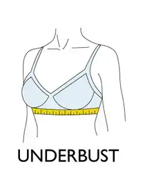 an image shows underbust view